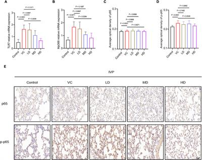 Protective effect of Haoqin Qingdan decoction on pulmonary and intestinal injury in mice with influenza viral pneumonia